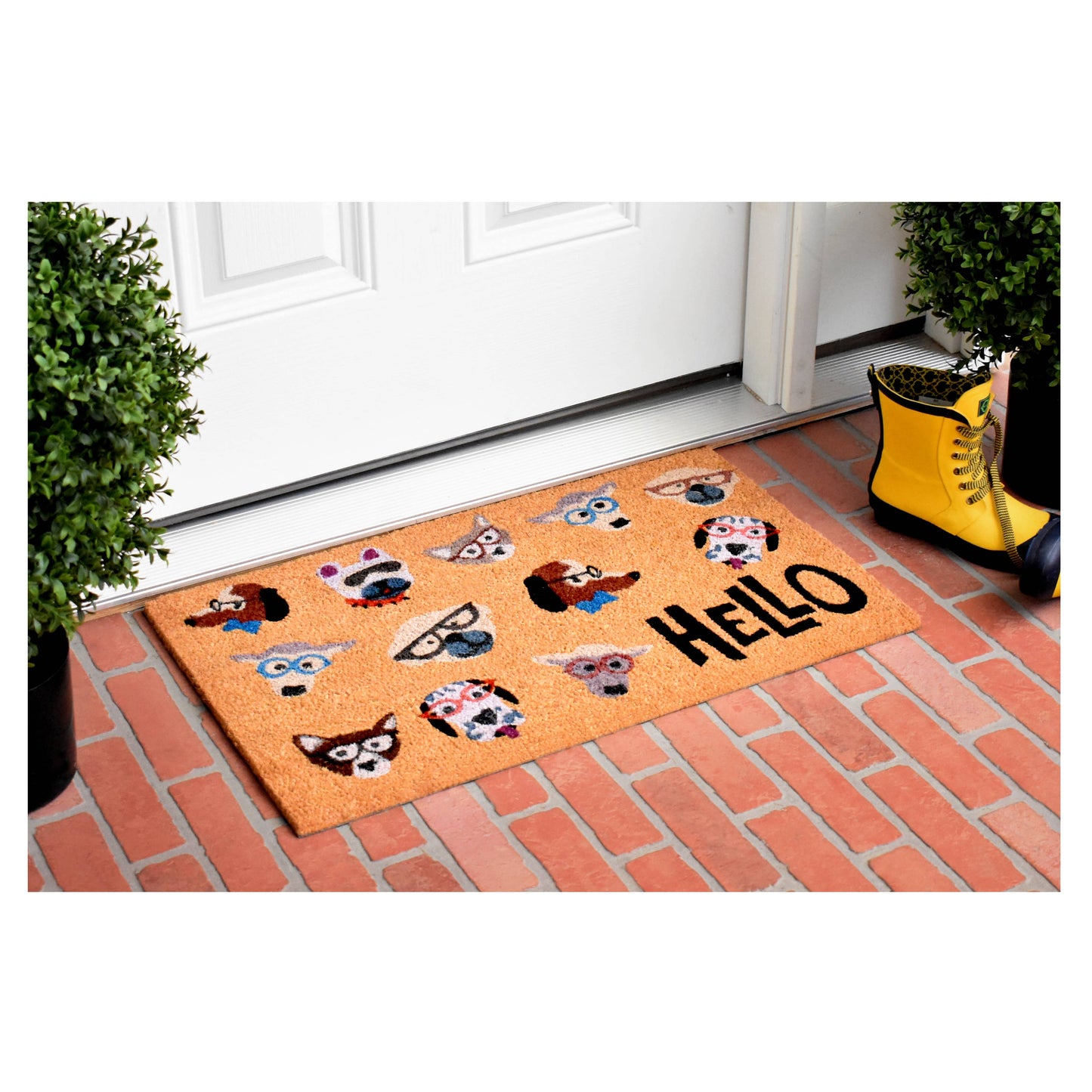 Dog Fashion Pet Doormat
