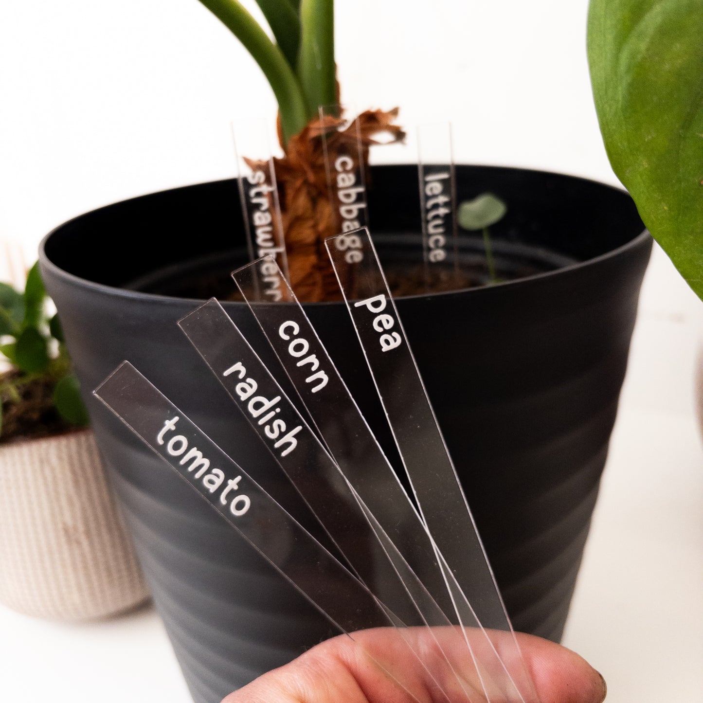 Vegetable Markers