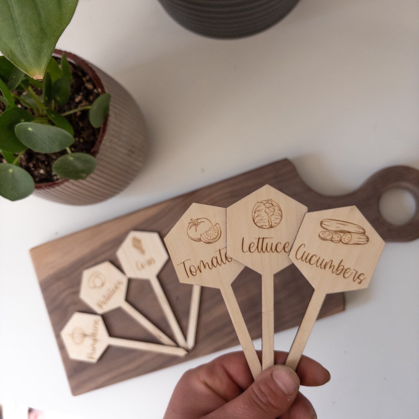 Vegetable Markers - Hexagon