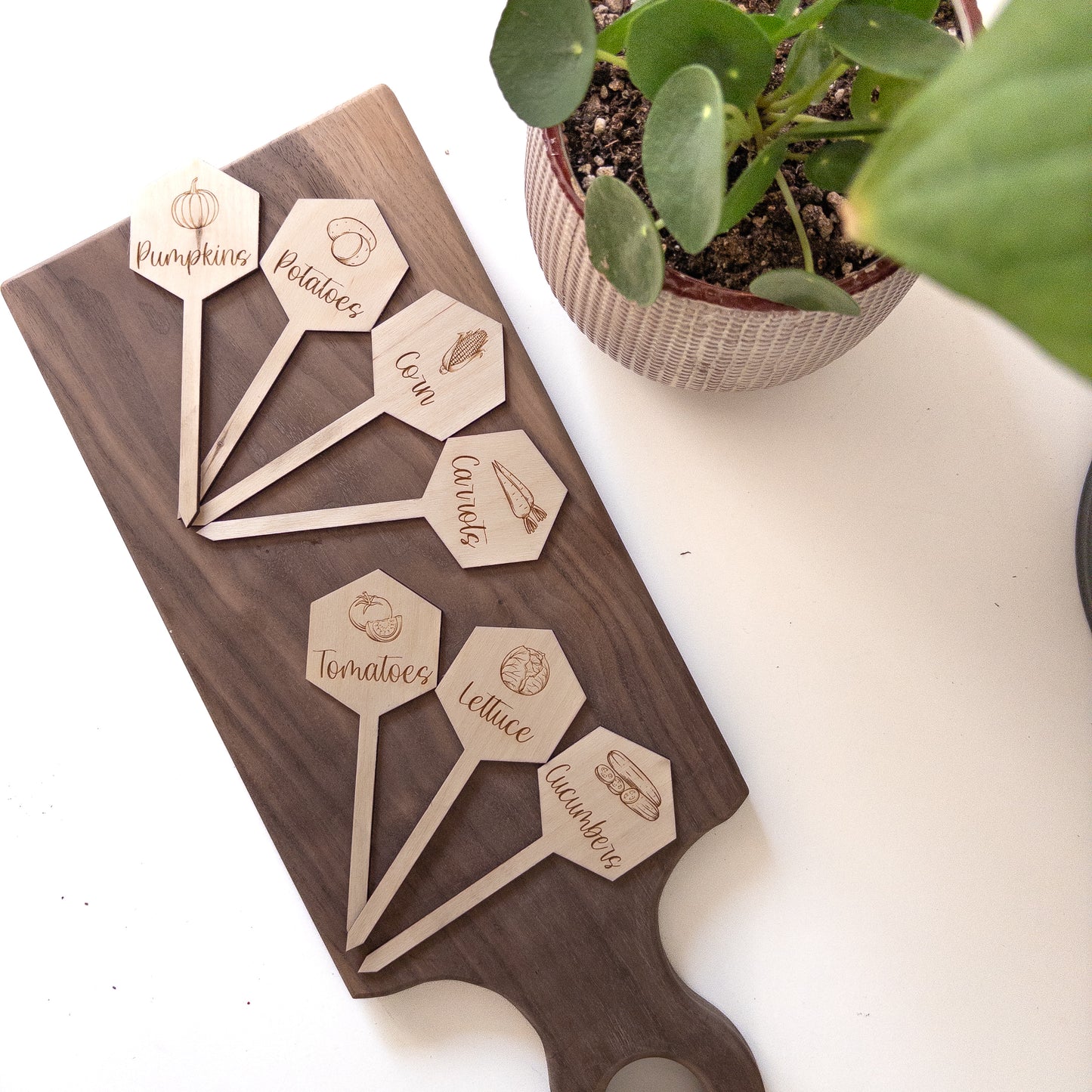 Vegetable Markers - Hexagon