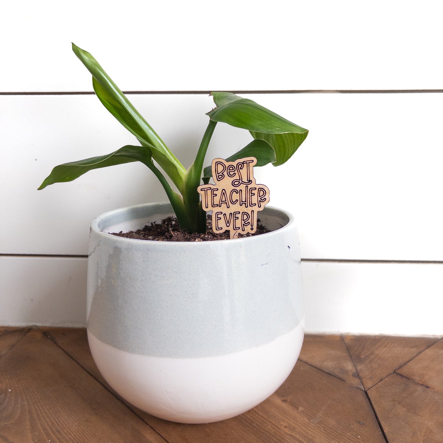 Best Teacher Ever - Plant Marker