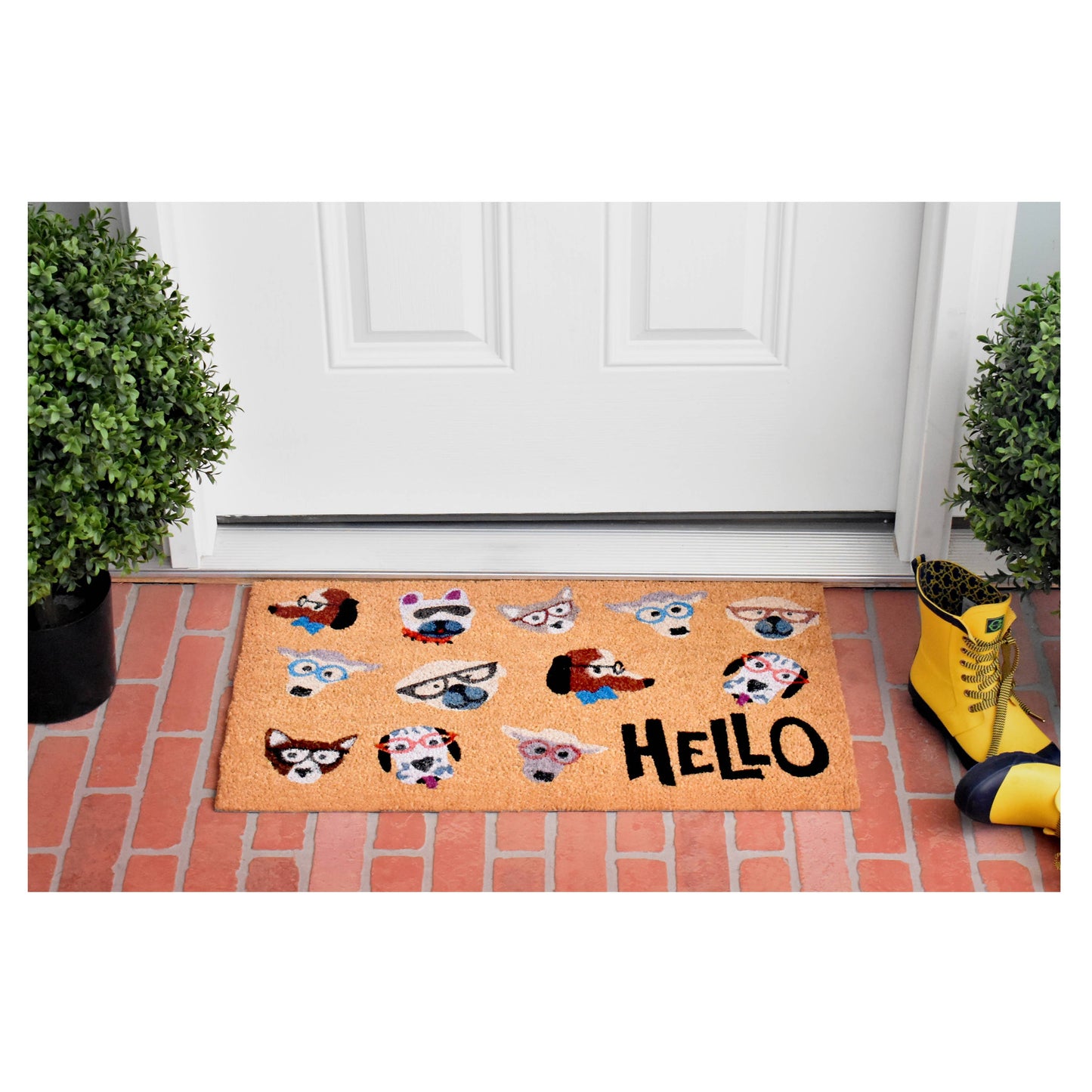 Dog Fashion Pet Doormat