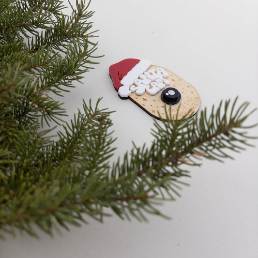 Santa Cam