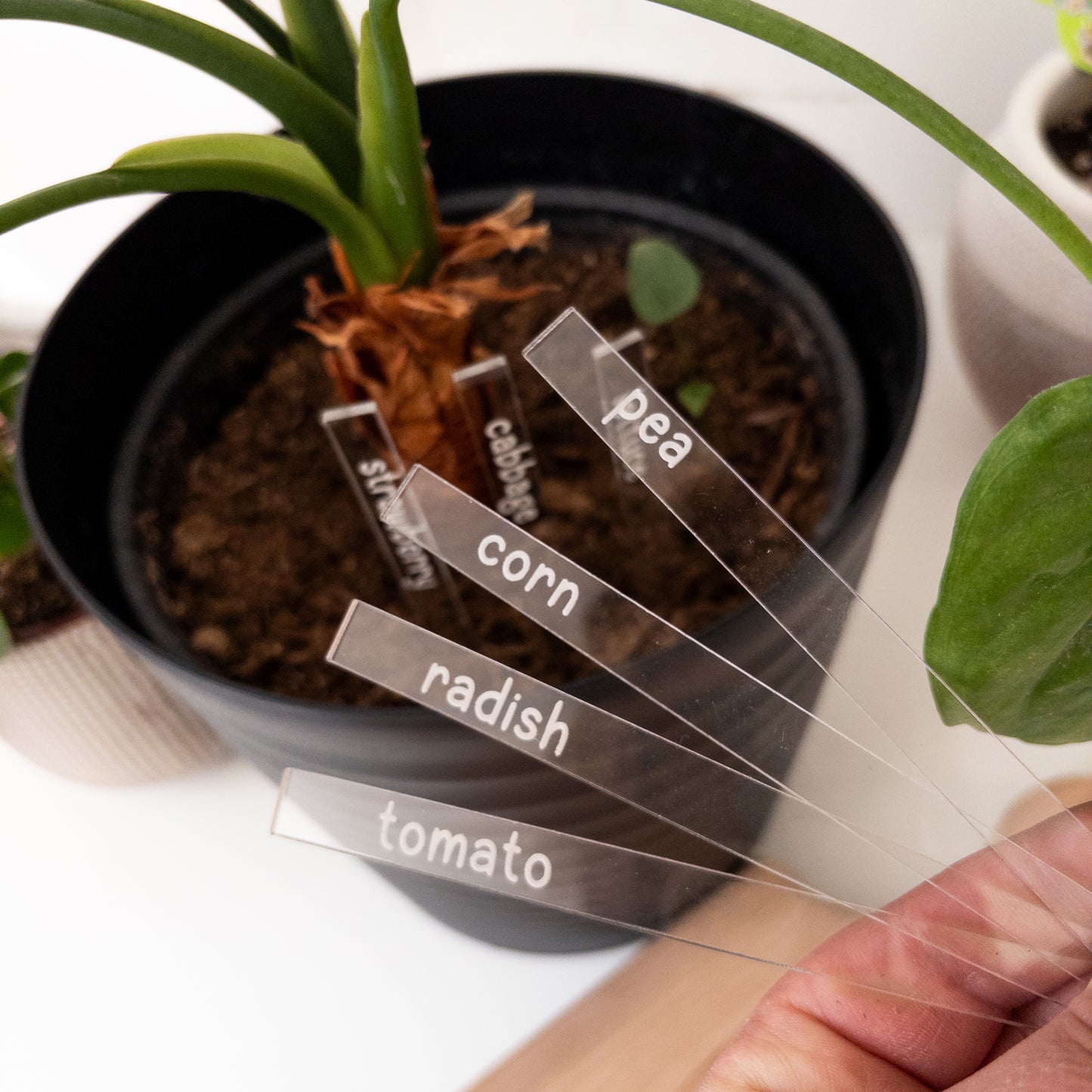 Vegetable Markers